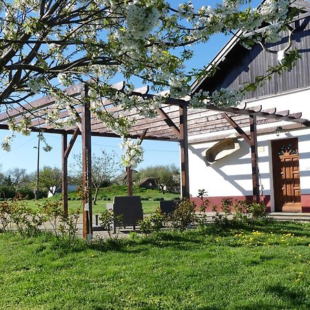 Tisza White House Bed & Breakfast Tiszaszolos Екстериор снимка
