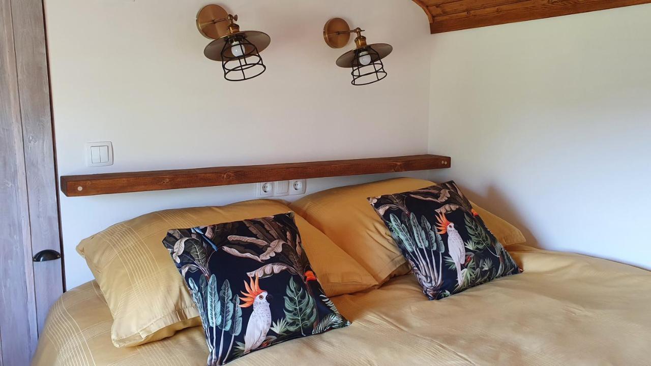Tisza White House Bed & Breakfast Tiszaszolos Стая снимка