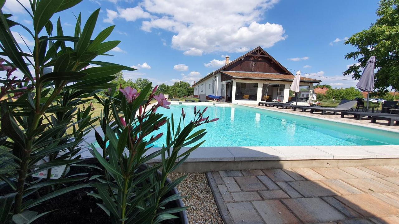 Tisza White House Bed & Breakfast Tiszaszolos Екстериор снимка