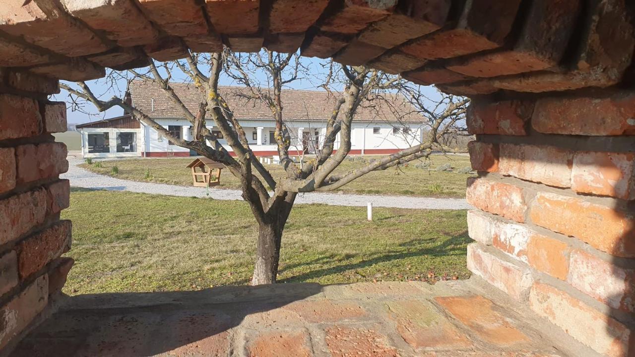 Tisza White House Bed & Breakfast Tiszaszolos Екстериор снимка