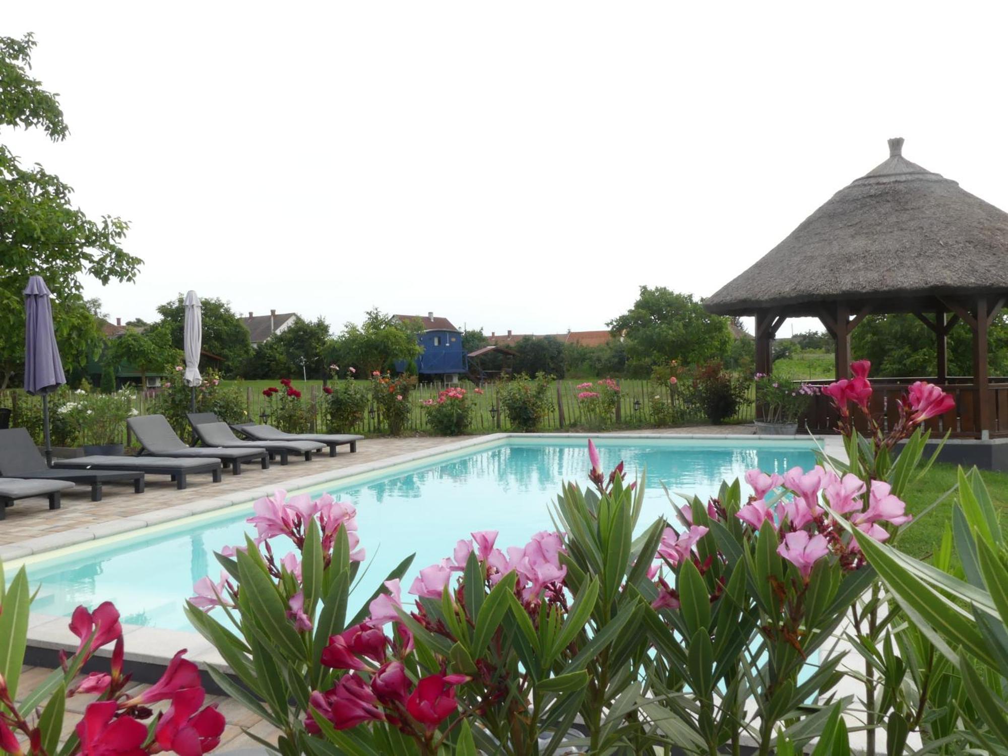 Tisza White House Bed & Breakfast Tiszaszolos Екстериор снимка