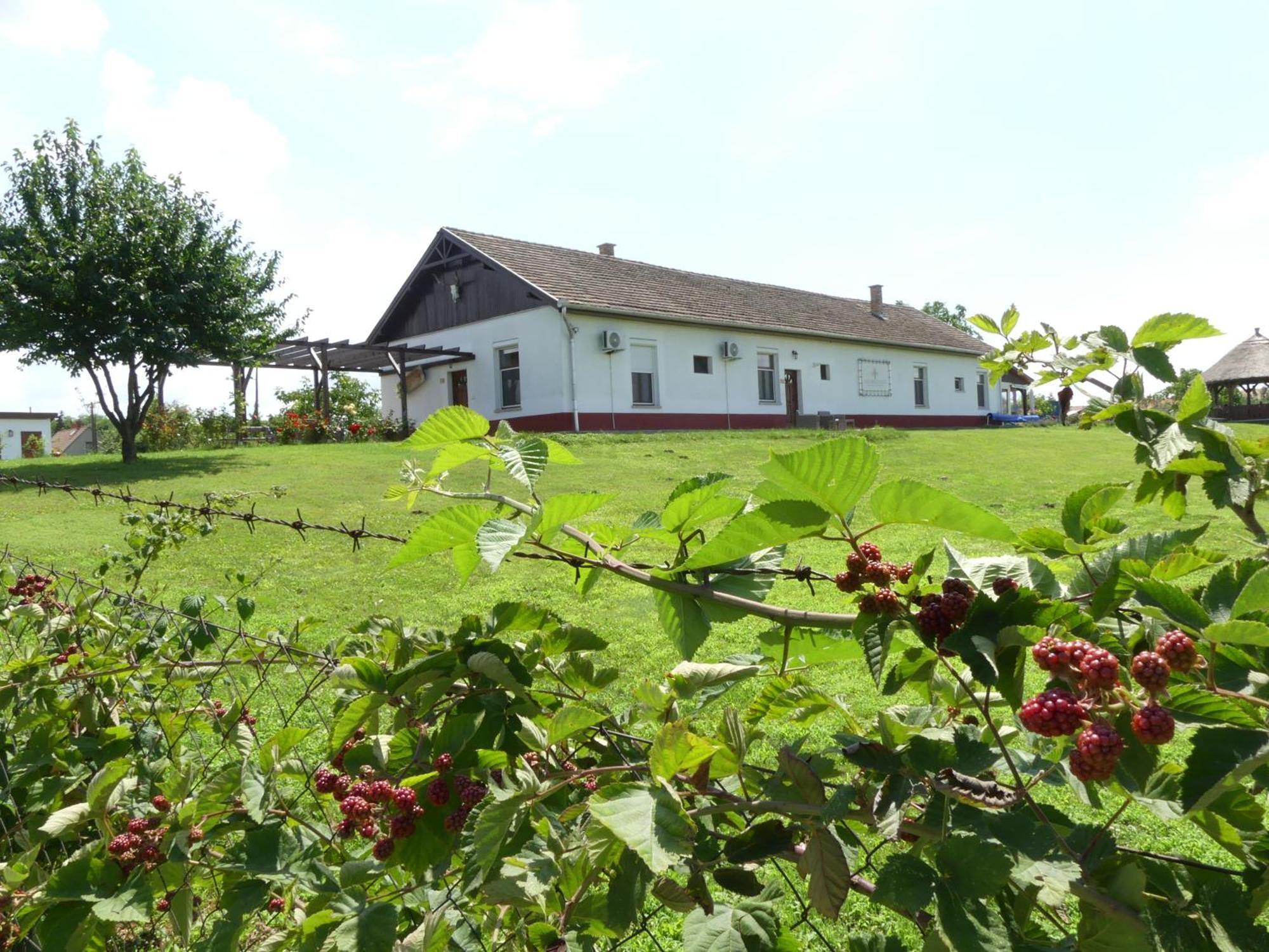 Tisza White House Bed & Breakfast Tiszaszolos Екстериор снимка