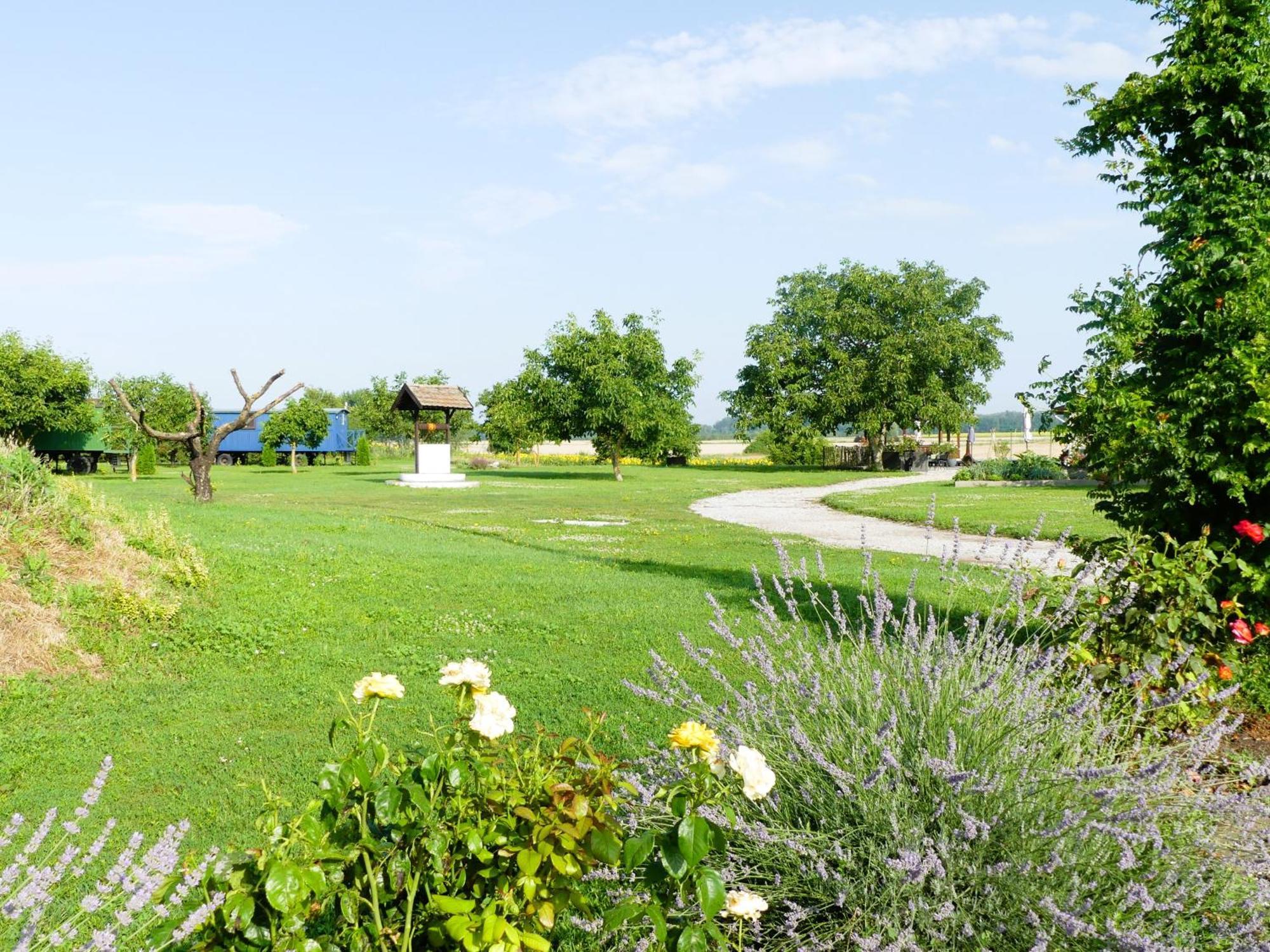 Tisza White House Bed & Breakfast Tiszaszolos Екстериор снимка